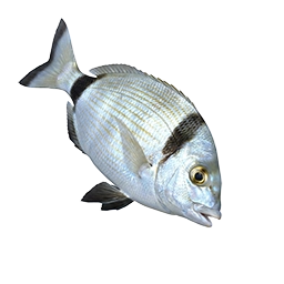 Karagöz