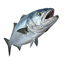 Lüfer