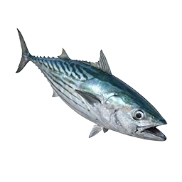 Palamut