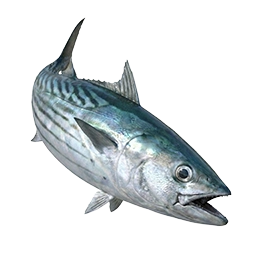 Torik